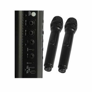 CUSTOM AUDIO SYSTEM MX-E - Parlante Activo Portátil con Batería Recargable con Micrófonos